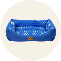 West paw - בובה עמידה במיוחד קסטר – תמונה 3