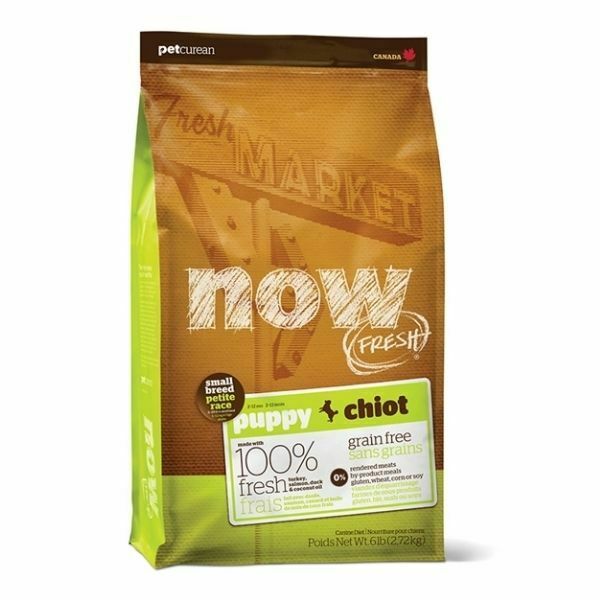 NOW - נאו גורים גזע קטן 2.72 ק"ג – תמונה 2