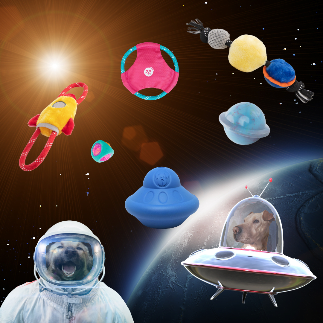 Space Kit - ערכת צעצועי חלל לכלבים – תמונה 2