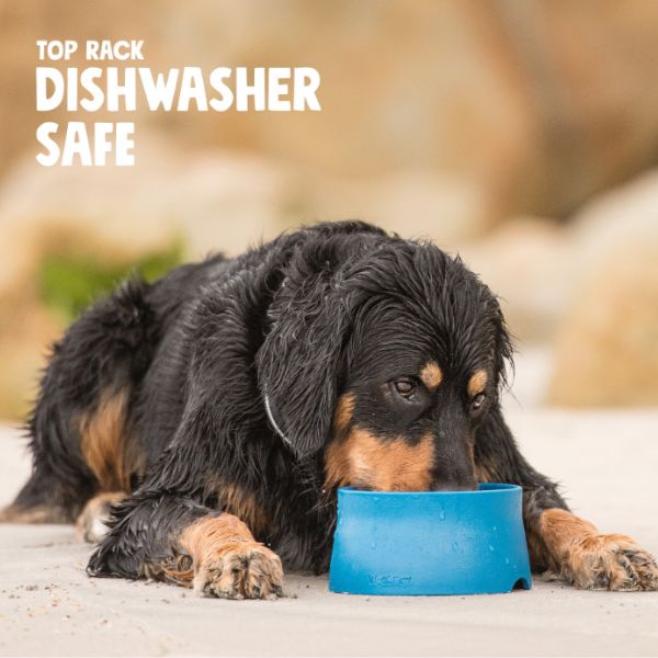 קערת האכלה אקולוגית לכלבים – West Paw Seaflex – תמונה 2