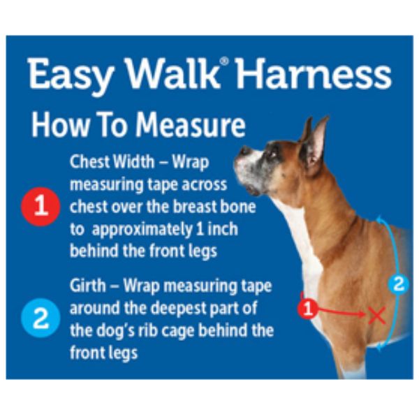 רתמה פטסייף איזי ווק המקורי נגד משיכות Easy Walk שחור – תמונה 4