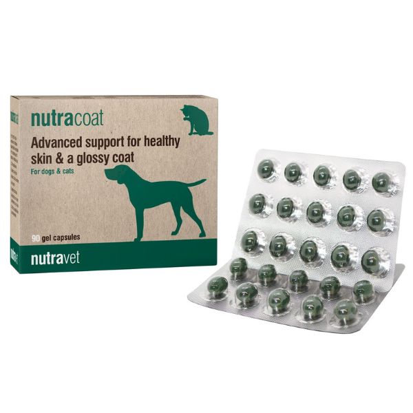 Nutravet נוטרה קאוט תוסף טבעי לבריאות ושיפור עור והפרווה לכלבים וחתולים -90 קפסולות