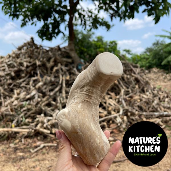 נייצר קיטשן Nature's Kitchen מקל לעיסה עץ קפה 100% טבעי Gorilla Chew - גדול – תמונה 2