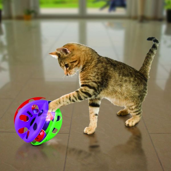 קונג כדור אינטראקטיבי מאיר לחתול – תמונה 3