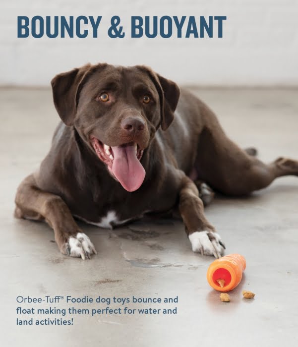פלאנט גזר האכלה קשיח Outward Hound – תמונה 2