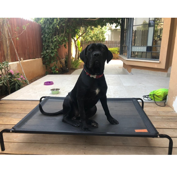 מיטה מוגבהת dogslife טרמפולינה - אפור – תמונה 2