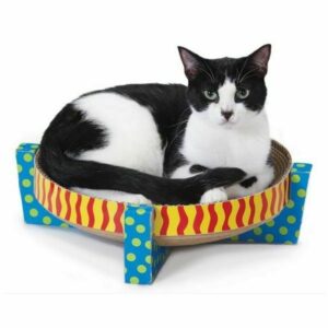 מגרדת צעצוע עגולה Pet Stages