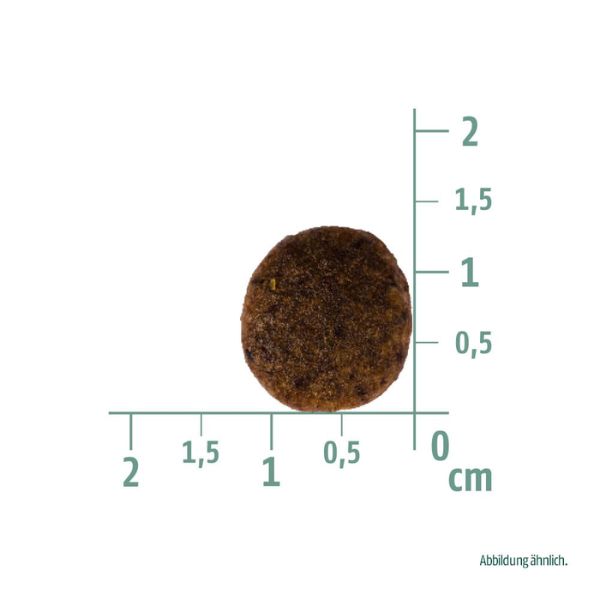כריסטופרוס ברווז - 4 ק"ג – תמונה 2